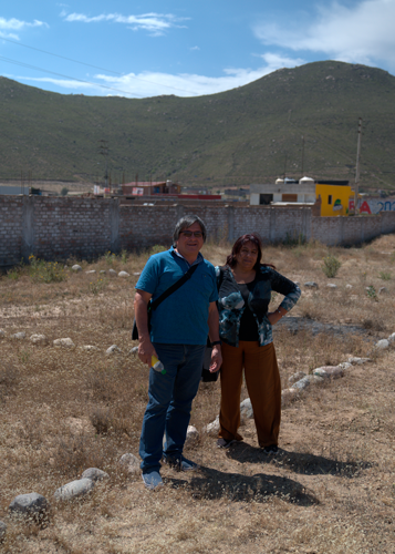 Gorriones Mollebaya
